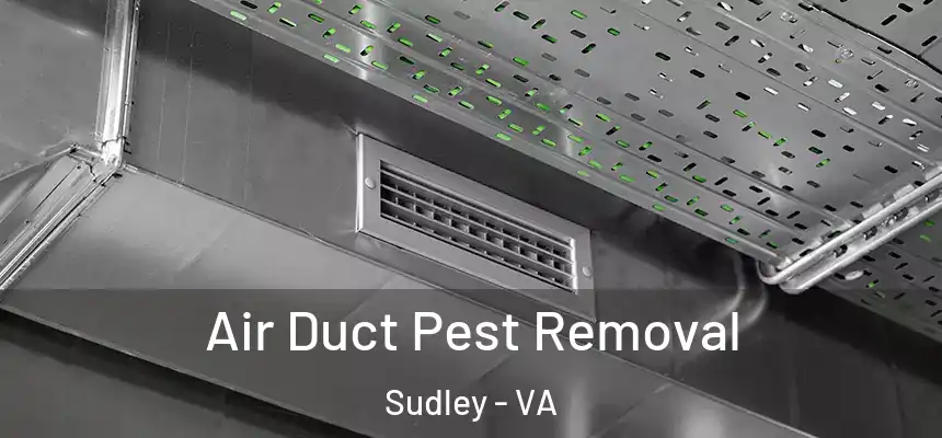 Air Duct Pest Removal Sudley - VA