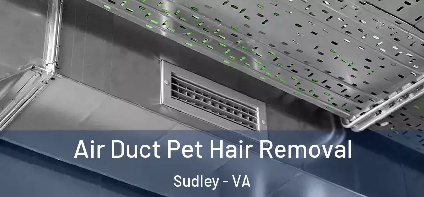 Air Duct Pet Hair Removal Sudley - VA