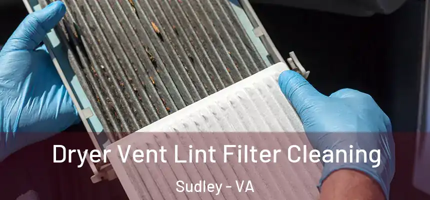 Dryer Vent Lint Filter Cleaning Sudley - VA