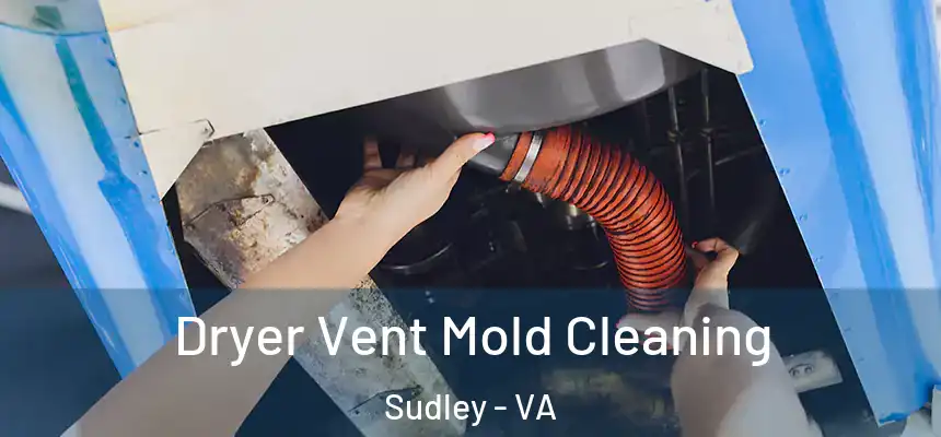 Dryer Vent Mold Cleaning Sudley - VA