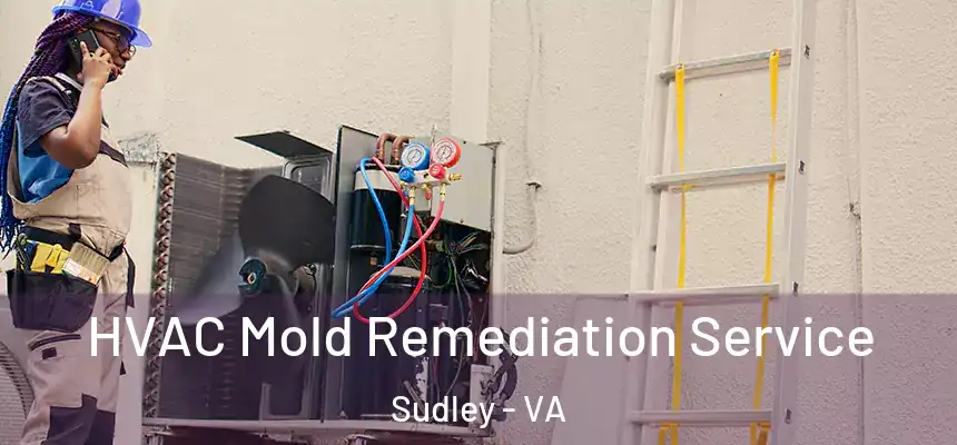HVAC Mold Remediation Service Sudley - VA