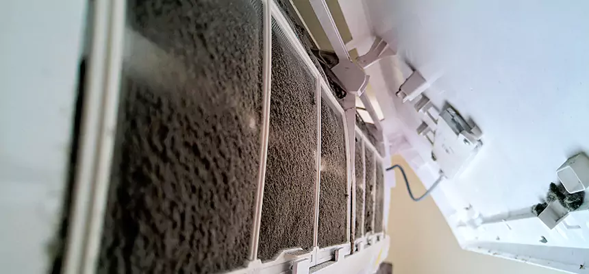 Preventive Air Duct Bacteria Removal in Sudley