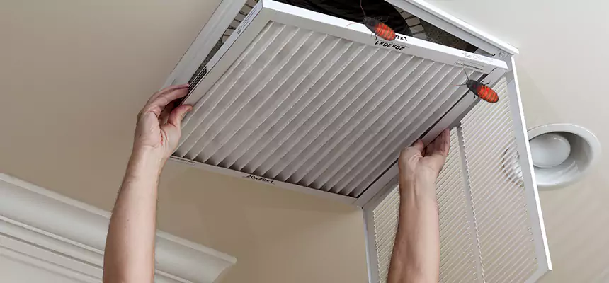 Preventive Cockroach-Proofing for Ducts in Sudley