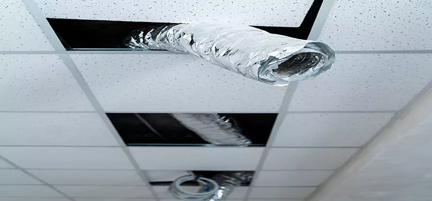 Our Air Duct Pet Hair Removal Services in Sudley, VA