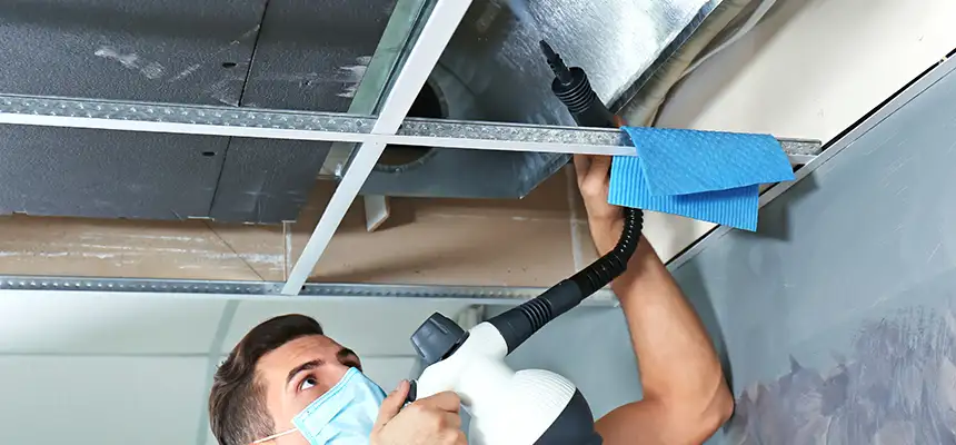 Our Air Duct Rodent Removal Services in Sudley, VA