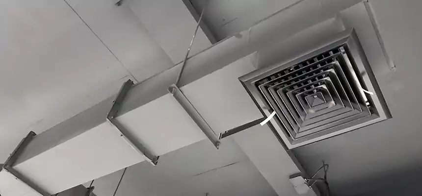 Our Rodent Droppings In Vents Services in Sudley, VA