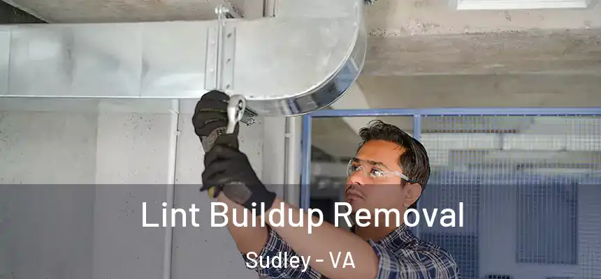 Lint Buildup Removal Sudley - VA