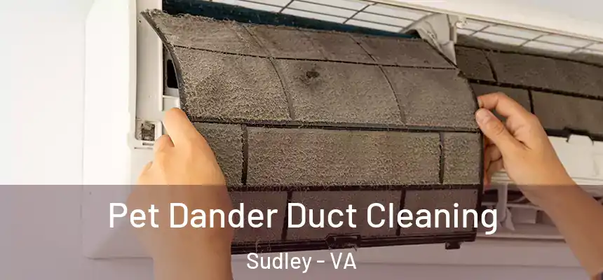 Pet Dander Duct Cleaning Sudley - VA