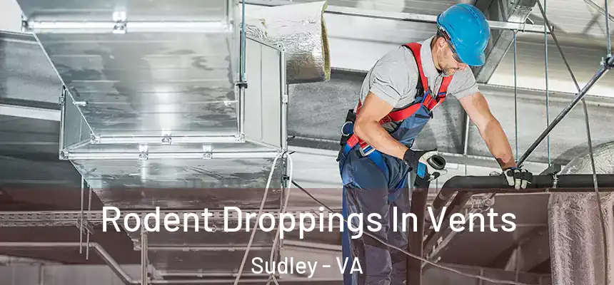  Rodent Droppings In Vents Sudley - VA