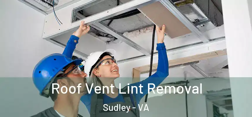 Roof Vent Lint Removal Sudley - VA
