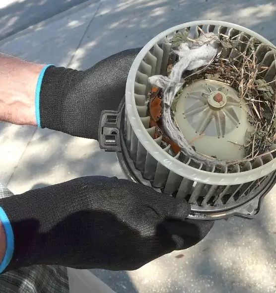 About Air Duct Mice Removal in Sudley, VA