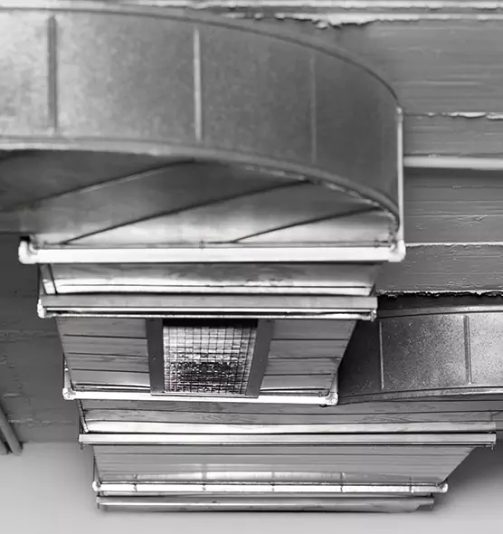 Professional Air Duct Pet Hair Removal in Sudley, VA