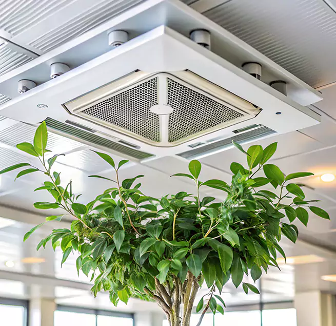 Why Homeowners & Businesses Trust Us in Sudley, VA